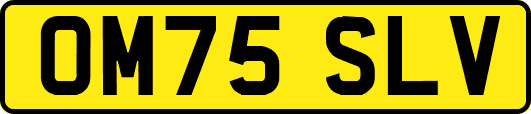 OM75SLV