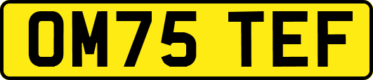 OM75TEF