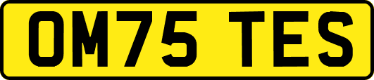 OM75TES
