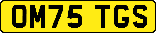 OM75TGS