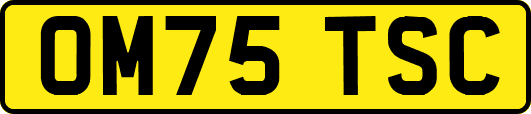 OM75TSC