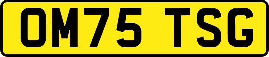 OM75TSG