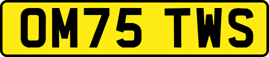 OM75TWS