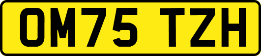 OM75TZH