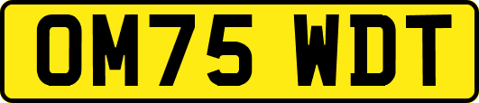 OM75WDT