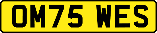 OM75WES