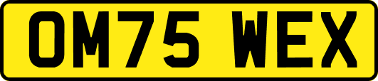 OM75WEX