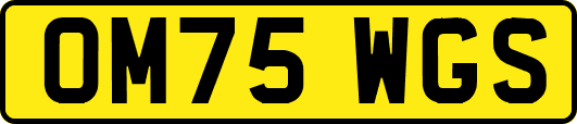 OM75WGS