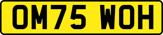 OM75WOH