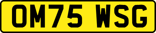 OM75WSG