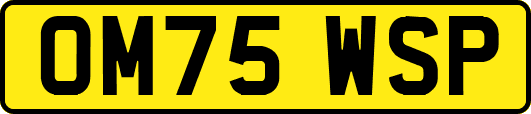 OM75WSP