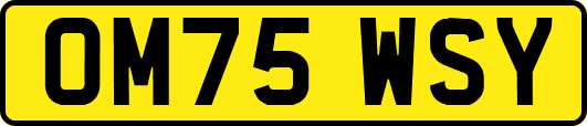 OM75WSY