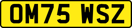 OM75WSZ