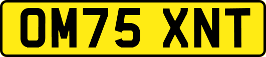 OM75XNT