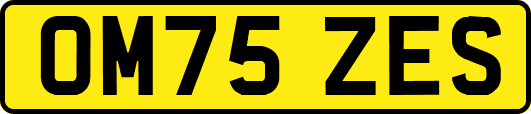 OM75ZES