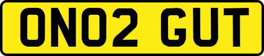 ON02GUT