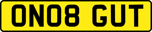 ON08GUT