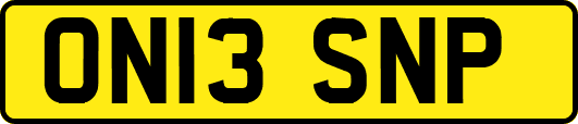 ON13SNP