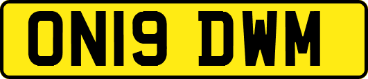 ON19DWM