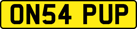 ON54PUP