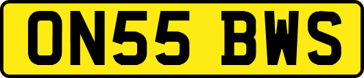 ON55BWS