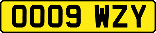 OO09WZY