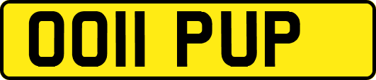 OO11PUP