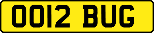 OO12BUG