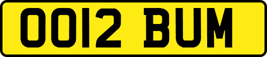 OO12BUM