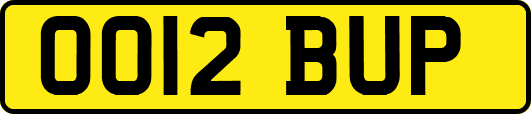 OO12BUP