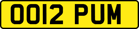 OO12PUM