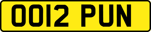 OO12PUN