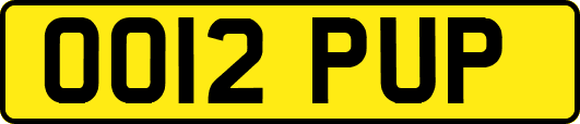 OO12PUP
