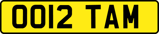 OO12TAM