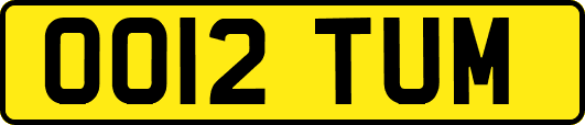OO12TUM