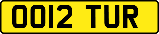 OO12TUR