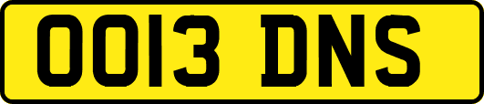 OO13DNS