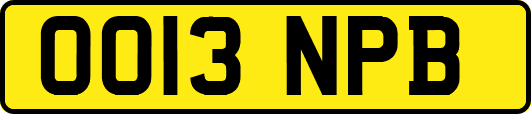 OO13NPB