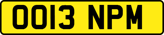 OO13NPM