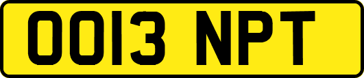OO13NPT
