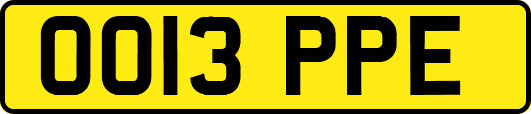 OO13PPE