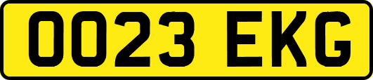 OO23EKG