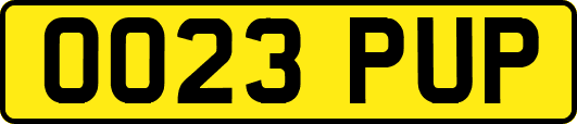 OO23PUP