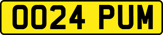 OO24PUM
