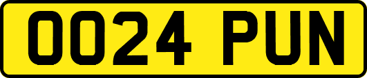 OO24PUN