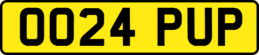 OO24PUP