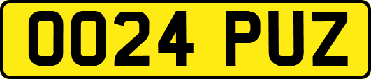 OO24PUZ
