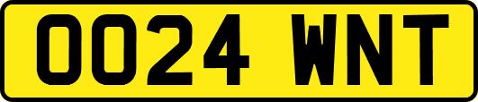 OO24WNT
