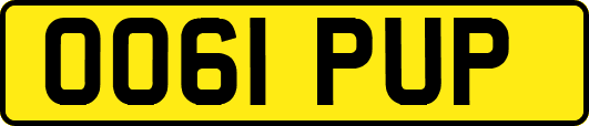 OO61PUP
