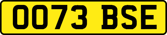 OO73BSE